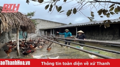 Processing animal feed from crop by-products
