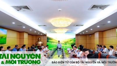 អ្នកជំនាញ និងអ្នកវិទ្យាសាស្ត្រស្នើឱ្យចេញដំណោះស្រាយថ្មី ដើម្បីជំនួសដំណោះស្រាយលេខ 24-NQ/TW