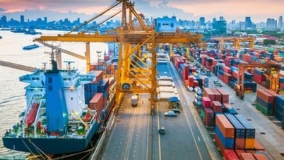 Ministry of Industry and Trade revokes temporary import and re-export business codes for goods subject to special consumption tax