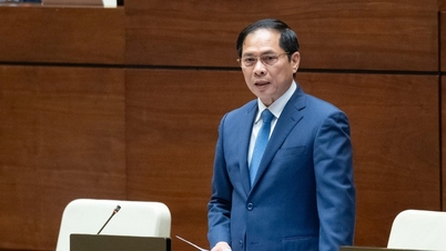 Vietnamese students do not return home after studying: Foreign Minister gives reasons