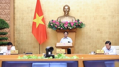 សេចក្តីសម្រេចនៃកិច្ចប្រជុំទៀងទាត់របស់រដ្ឋាភិបាលក្នុងខែកក្កដា ឆ្នាំ២០២៣