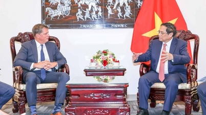 Many US 'eagles' want to expand investment in Vietnam