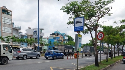 Chặt hạ 188 cây xanh để mở rộng làn xe máy trên đại lộ Đông Tây TPHCM