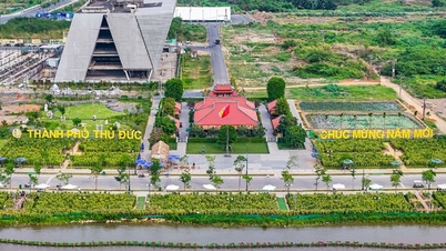 ច្រាំងទន្លេ Saigon នៅខាង Thu Thiem ផ្លាស់ប្តូរយ៉ាងអស្ចារ្យ