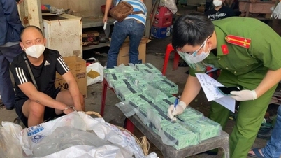 Phê duyệt Kế hoạch tổng kết 10 năm thực hiện Công ước chống tội phạm có tổ chức xuyên quốc gia