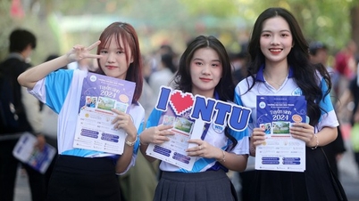 មានភាពអ៊ូអរ និងរំភើបក្នុងកម្មវិធីប្រឹក្សាយោបល់រដូវកាលប្រឡងនៅ Nha Trang