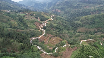 農村道路の整備