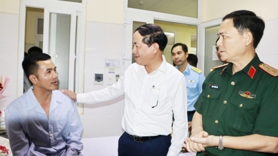 President awards Fatherland Protection Medal to 2 pilots involved in plane crash in Binh Dinh