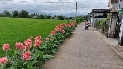 Phu Yen supera activamente las dificultades y completa nuevos objetivos de construcción rural.