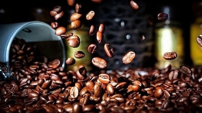 Giá cà phê tiếp đà tăng, trong 2 ngày cà phê Robusta tăng hơn 400 USD/tấn
