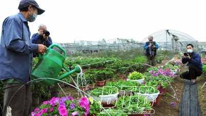 Văn nghệ sĩ với hành trình sáng tạo nghệ thuật