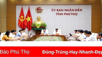 សន្និសីទជាតិតាមប្រព័ន្ធអ៊ីនធឺណែត រវាងរដ្ឋាភិបាល និងមូលដ្ឋាន