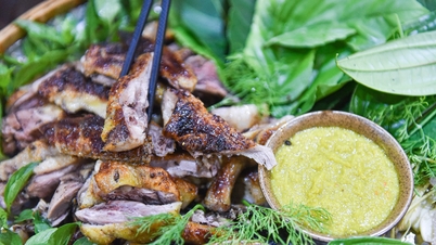 ទា Co Lung ឆ្ងាញ់ 'កម្រ និងពិបាករក' អ្នកមកលេង Pu Luong ដើម្បីបរបាញ់ និងរីករាយ
