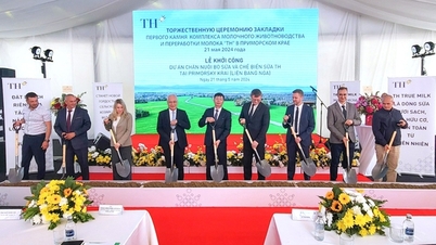 Tập đoàn TH khởi công dự án sữa 5.200 tỉ đồng tại Viễn Đông, Liên bang Nga
