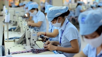 Ngành dệt may Việt Nam đang trên đà bứt phá