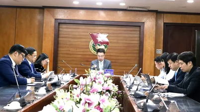 Việt Nam - Liên bang Nga phối hợp tổ chức hoạt động thanh niên tình nguyện