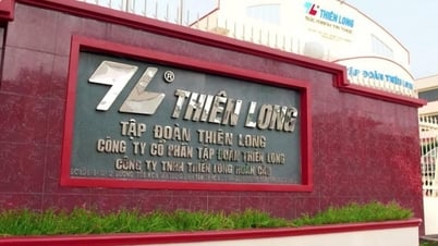 ប្រាក់ចំណេញរបស់ Thien Long Ballpoint Pen (TLG) ក្នុងរយៈពេល 5 ខែដំបូងនៃឆ្នាំនេះកើនឡើង 10%