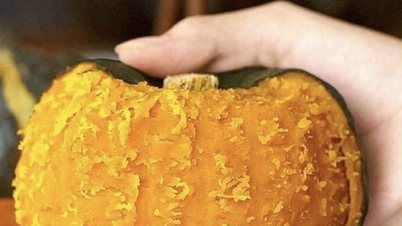 The truth about durian 30,000 VND/fruit, surprise about expensive chestnut pumpkin