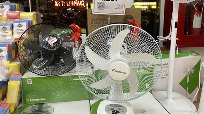 Hanoi's rotating power outages cause rechargeable fans to sell out