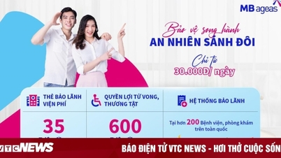 Thị trường Bảo hiểm nhân thọ 2023 tiếp đà tăng trưởng