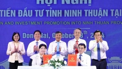 អាជីវកម្មកាន់តែច្រើនស្នើគម្រោងថាមពលកកើតឡើងវិញនៅខេត្ត Ninh Thuan