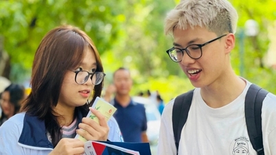 More sports universities announced, more than 250 schools have standard scores