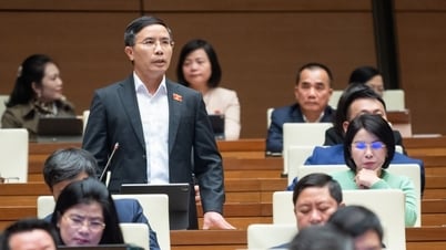 Đại biểu Quốc hội đề nghị giữ quy định về thủ tục thu giữ tài sản bảo đảm trong xử lý nợ xấu