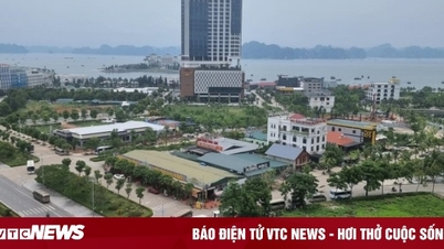 Quảng Ninh vắng du khách sau thảm cảnh mất điện, doanh nghiệp lữ hành kêu trời