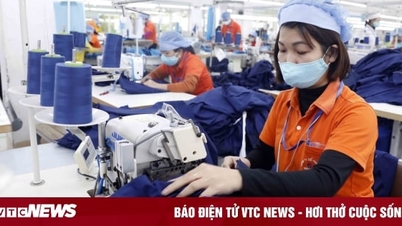 Tỉnh nào có số lượng khu công nghiệp nhiều nhất cả nước?