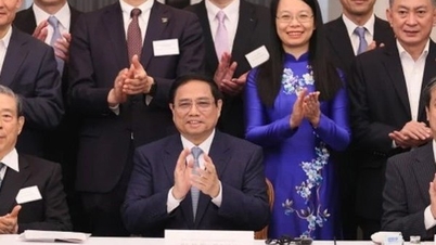 Strengthening the development of Vietnamese human resources