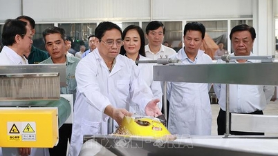 Prime Minister Pham Minh Chinh visits and works in Dong Thap