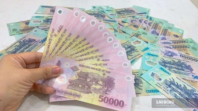 ដាក់ប្រាក់ 500 លាននៅ BIDV និងទទួលបានការប្រាក់ 47 លាន