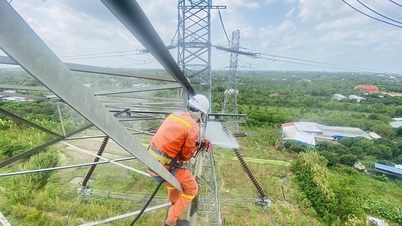 Nhiều nhà thầu chậm thi công đường dây 500 kV mạch 3 ra Bắc