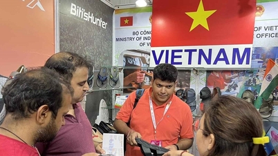 ដែក និងស្បែកជើងរបស់វៀតណាមជាប់គាំងក្នុងនីតិវិធីទៅឥណ្ឌា