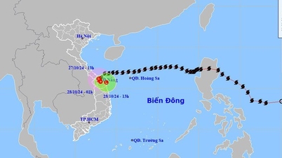 Bão số 6 suy yếu lại quay ngược ra biển, gây mưa cực lớn toàn miền Trung, nhiều nơi ngập lụt