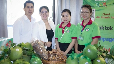 Nông dân Khánh Vĩnh livestream bán bưởi da xanh tại vườn, khách chốt đơn nườm nượp