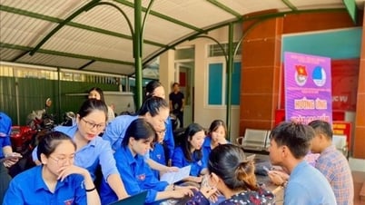 Đầu tư vào kỹ năng cho thanh niên để hướng tới kinh tế xanh bền vững
