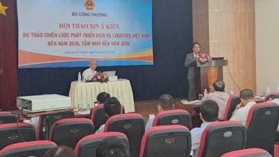 សេចក្តីព្រាងយុទ្ធសាស្រ្តសម្រាប់ការអភិវឌ្ឍន៍សេវាភស្តុភារវៀតណាម៖ តម្រូវការសម្រាប់គោលដៅជាក់លាក់ស្តីពីភស្តុភារបៃតង
