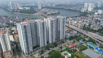 Cận cảnh những khu đất rộng hàng nghìn m2 vừa bị Thanh tra Chính phủ chỉ rõ sai phạm ở Hà Nội