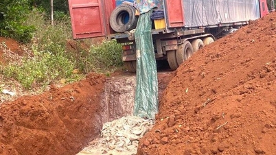 Khởi tố bị can trong vụ vận chuyển cá tầm trái phép qua cửa khẩu