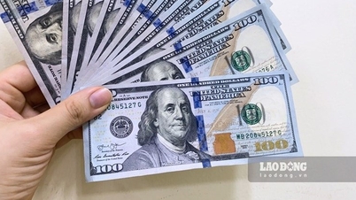 Tỷ giá ngoại tệ, tỷ giá Yên Nhật, giá USD tự do hôm nay 26.6