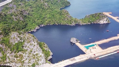 Request to stop construction of road to Ha Long Bay sea encroachment project