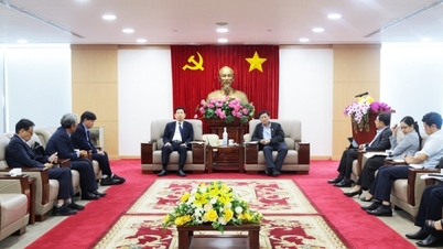 Thêm cơ hội để Bình Dương thúc đẩy các dự án chăm sóc sức khỏe cộng đồng