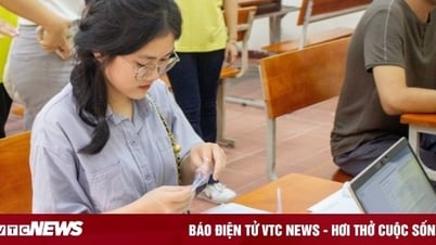 내성적인 여성을 위한 고소득 전공 4가지