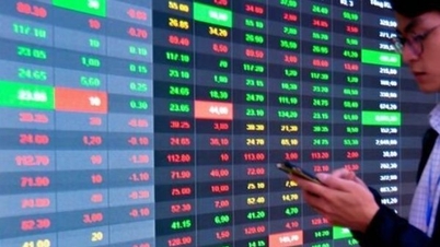 Sẽ quy định rõ phạm vi hoạt động của các công ty chứng khoán