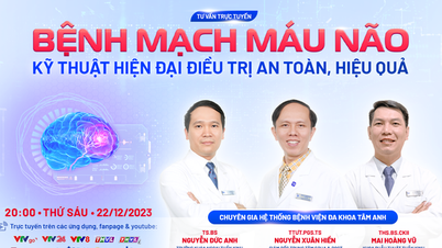 បច្ចេកទេសទំនើបក្នុងការព្យាបាលជំងឺសរសៃឈាមខួរក្បាល