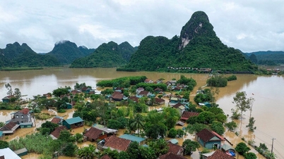 Biểu tượng của sự thích nghi và sáng tạo sống chung với lũ