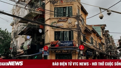 Giá đắt giật mình 2,1 tỷ đồng/m2, chỉ siêu giàu mới dám mua