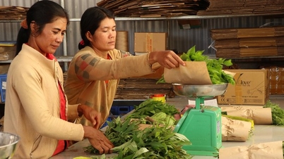 ហេតុ​អ្វី​បាន​ជា​អនុប្រធាន​គណៈកម្មាធិការ​ជនជាតិ​ខេត្ត Lam Dong និយាយ​ថា នៅ​តំបន់​ខ្ពង់រាប​ភាគ​កណ្តាល​លែង​មាន​ទិដ្ឋភាព​សត្វ​ក្របី​ដើរ​នៅ​ខាង​មុខ​ទៀត​ហើយ...