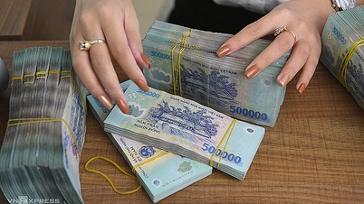 ធនាគារ ប្រាក់ចំណេញធនាគារ HSBC វៀតណាម Shinhan វៀតណាម